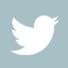 twitter_4_duck_egg_blue.png