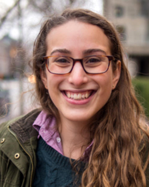 goldstein16b.jpg